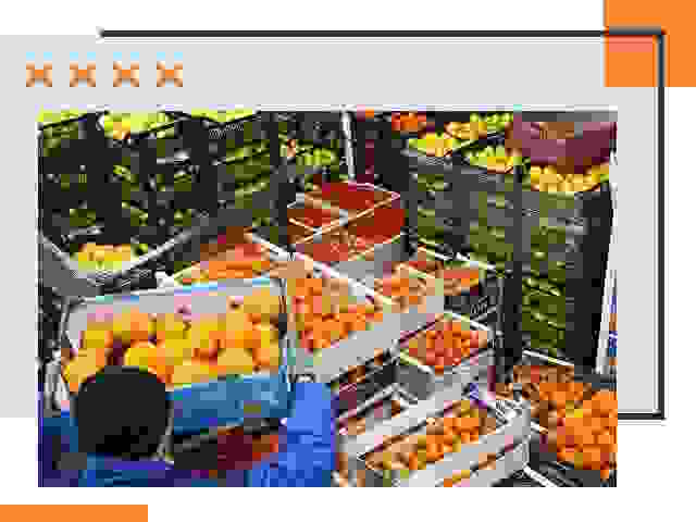 Перевозка скоропортящихся продуктов в Миассе